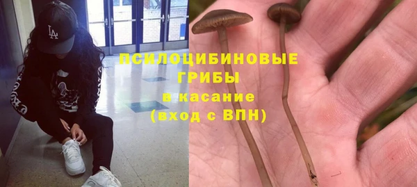 мяу мяу мука Алзамай