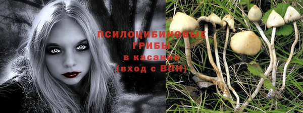 мяу мяу мука Алзамай