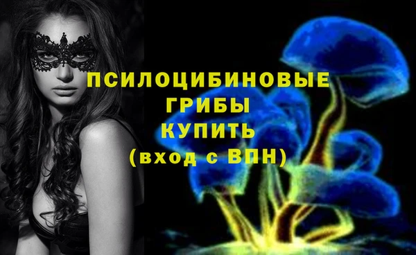сатива Армянск