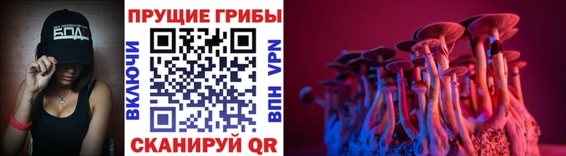 blacksprut как войти  Артёмовск  Псилоцибиновые грибы Cubensis  купить  